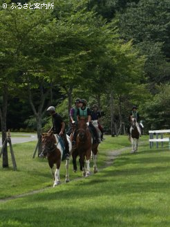 青空の下での乗馬体験。馬上の感覚を肌で感じた