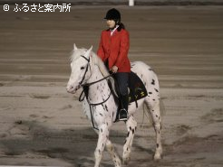 誘導馬テン太と新コンビを組む佐藤舞さん