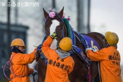 転厩後も同じ厩務員の方が担当し、見事タイトルを獲得した