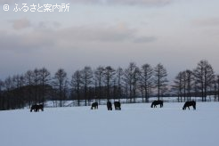 写真２　[夕暮れ]