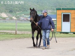 最優秀賞(牝の部)はサンデーブレーヴの2012