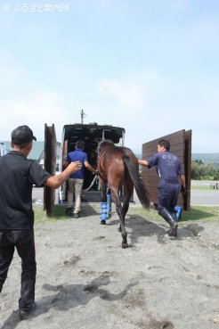 宮崎育成牧場行きの馬運車に乗り込む