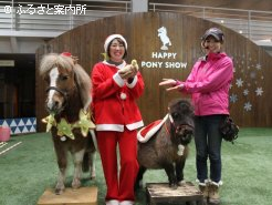 NHPクリスマスショー