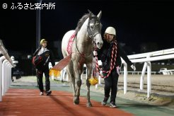 重賞2勝目を飾ったクリーンエコロジー