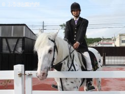 誘導馬としてのテン太(2013年)