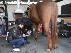 厳正な審査をする競技審査委員。緊張の瞬間だ