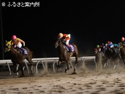 見事に差し切ったショウリザバンザイ