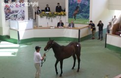 最高価格は6,048,000円だった