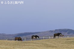 写真２  [丘の上]