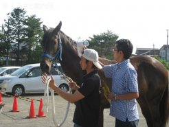 積み込み前にマイクロチップ検査を受けた