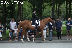 ホースパレードに登場した2008年の天皇賞(春)(G1)馬アドマイヤジュピタ
