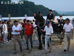 過去の馬上結婚式の様子