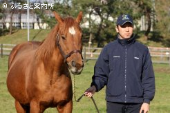 母ネクストタイムと野坂真さん