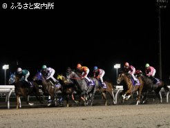 ホームストレッチの各馬