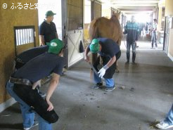 馬産地で活躍する装蹄師の指導を受けながら削蹄を行った
