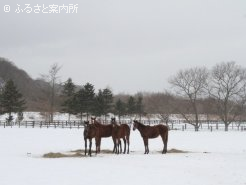 新冠町新栄にあるカミイスタット