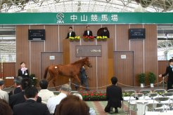 会場