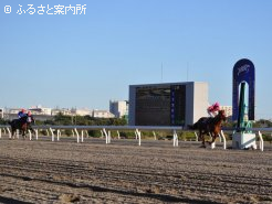 7馬身差の圧勝でゴールを駆け抜けた