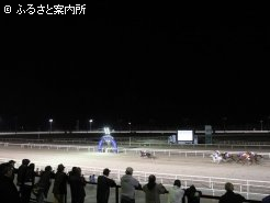 1,000人を超す観客が詰めかけた門別競馬場