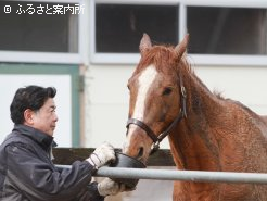 タニグチ牧場に到着してまもなくの様子