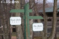 隣の厩舎となる岡厩舎では、同じ有馬記念(G1)に出走するアーモンドアイが育成されていた
