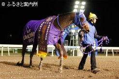 激戦の後でも元気一杯