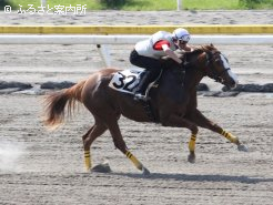 1ハロン最速の「プリティベティの10」