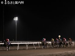 大逃げを打つストロングサンデー