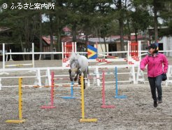 跳躍力のあるセサミ