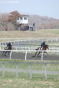 日高軽種馬共同育成公社で行われた上場馬ビデオ撮影