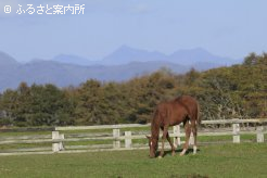 写真５  [放牧地]