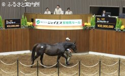 最高価格馬ロイヤルバラード