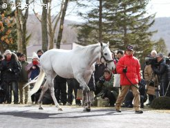 大きな注目を集めた新種牡馬ゴールドシップ