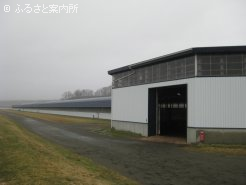 全天候型の屋内1000m坂路ウッドチップ馬場