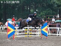 北海道2歳優駿の勝ち馬ディラクエ