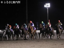 これで8戦7連対と安定した成績を残している