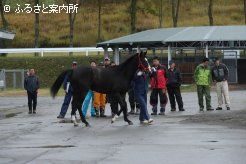 JRA職員による歩様検査