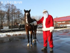 サンタクロースと同園で公開中のウインドインハーヘア(ディープインパクトの母)