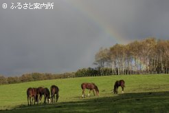 写真２　[曇り空に虹]