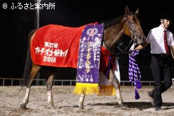 優勝馬だけに与えられる馬装で口取りへ