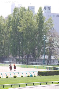 札幌競馬場で行われた北海道市場2012トレーニングセール