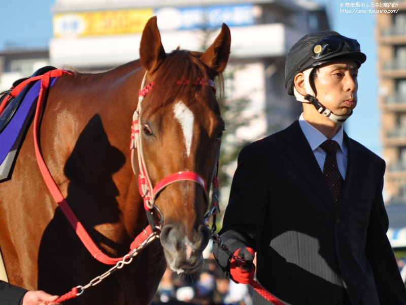 JBCクラシック(Jpn1)はスマートファルコンが優勝 | 馬産地ニュース | 競走馬のふるさと案内所