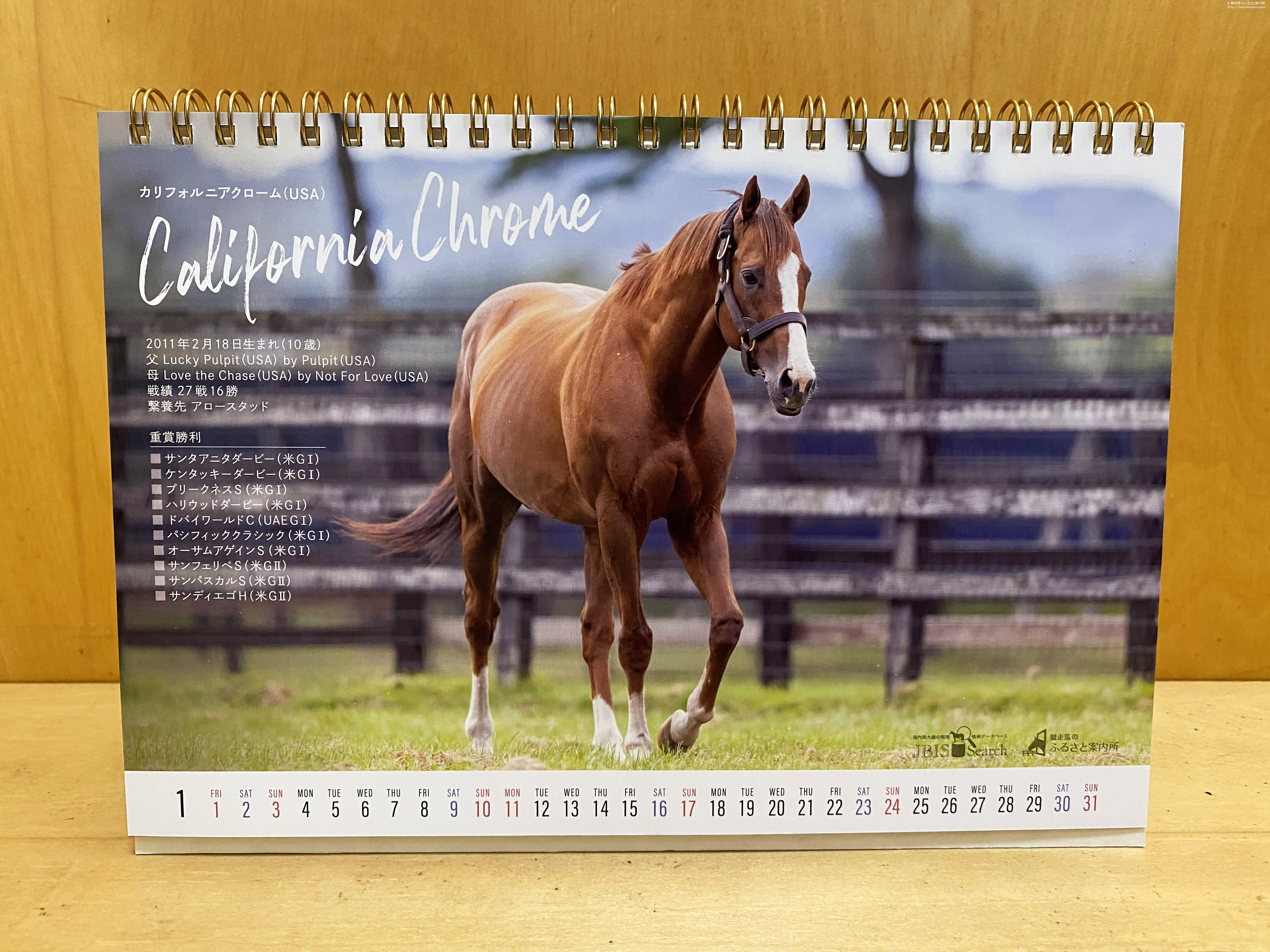 オリジナル卓上カレンダー『2021 Stallion Calendar』を1,000名様に