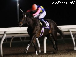 モエレビクトリー