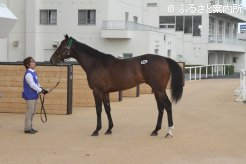 高額2位のスイートカトマンズ2013