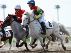レースはハクとコンビを組んだ谷口遼斗さんが優勝