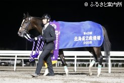 2歳にして風格のある馬体