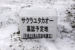 墓誌は来年の4月に建立予定