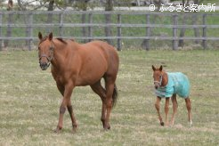 活発に運動する親子