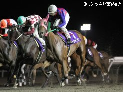 大外一気の末脚で勝負を決めたステファニーラン